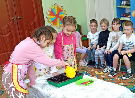 Огород на окне Огород на окне.